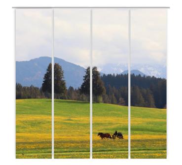 Preview: Auf dem Weg, Flächenvorhang 4er Set